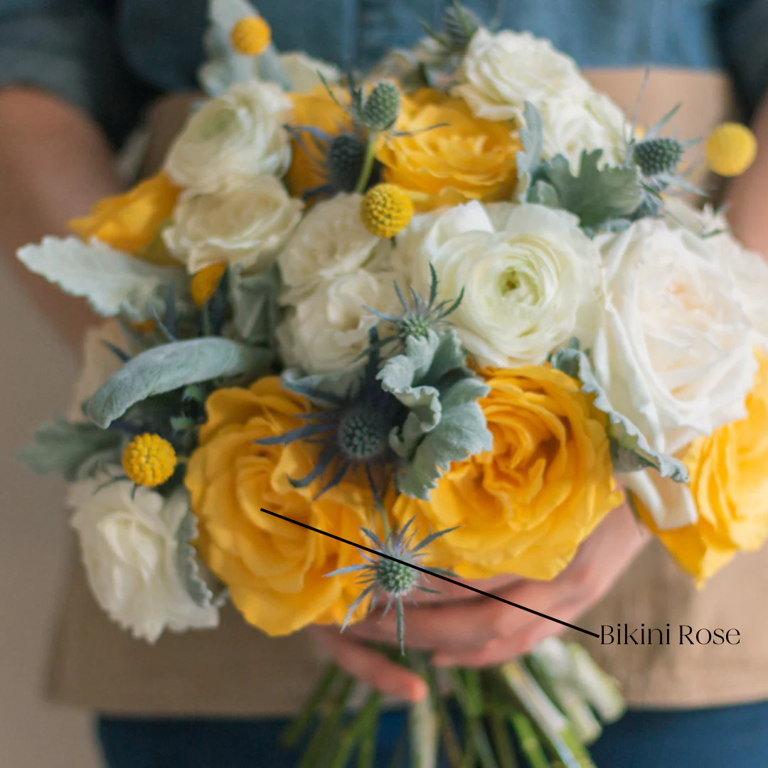 Yellow Rose - Image 6
