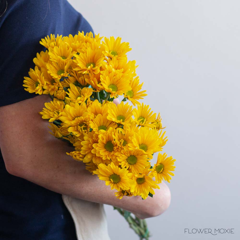 Yellow Daisy Pom Flower - Image 3