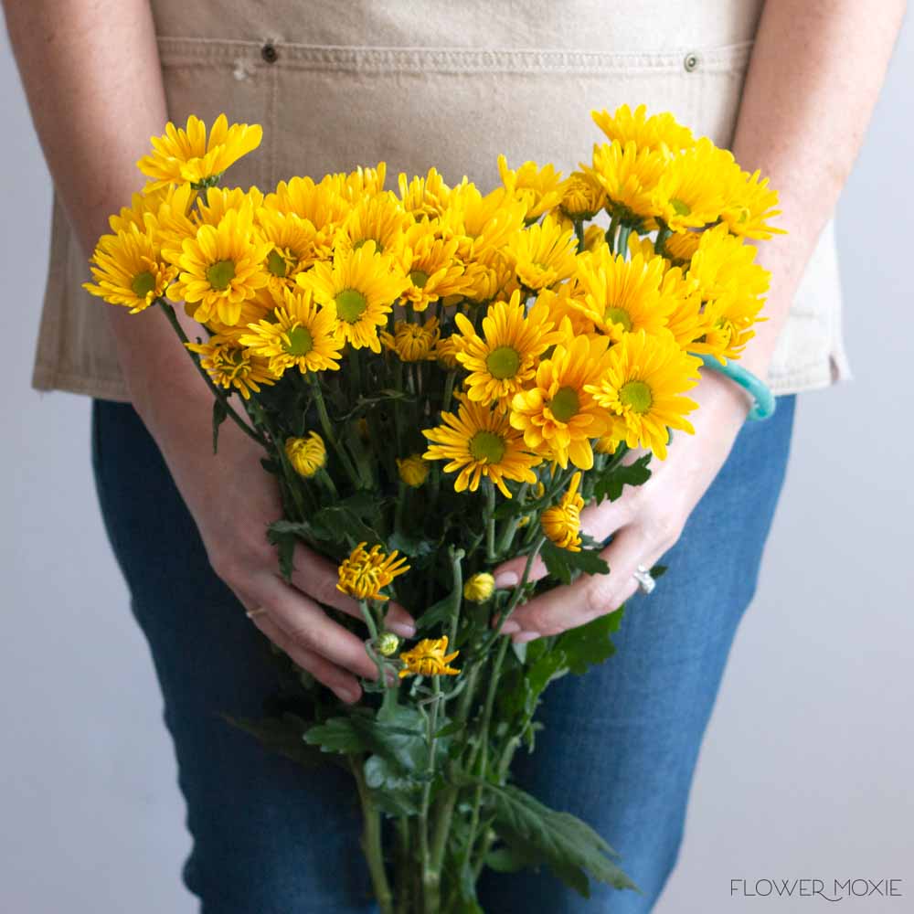 Yellow Daisy Pom Flower - Image 4