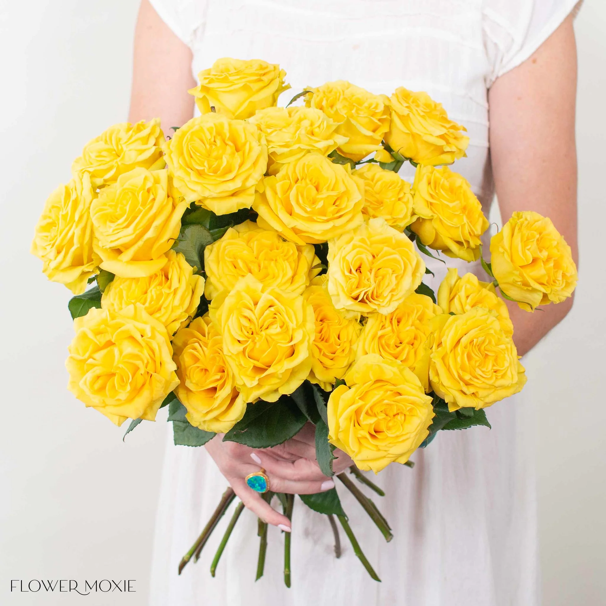 Yellow Garden Rose - Image 2