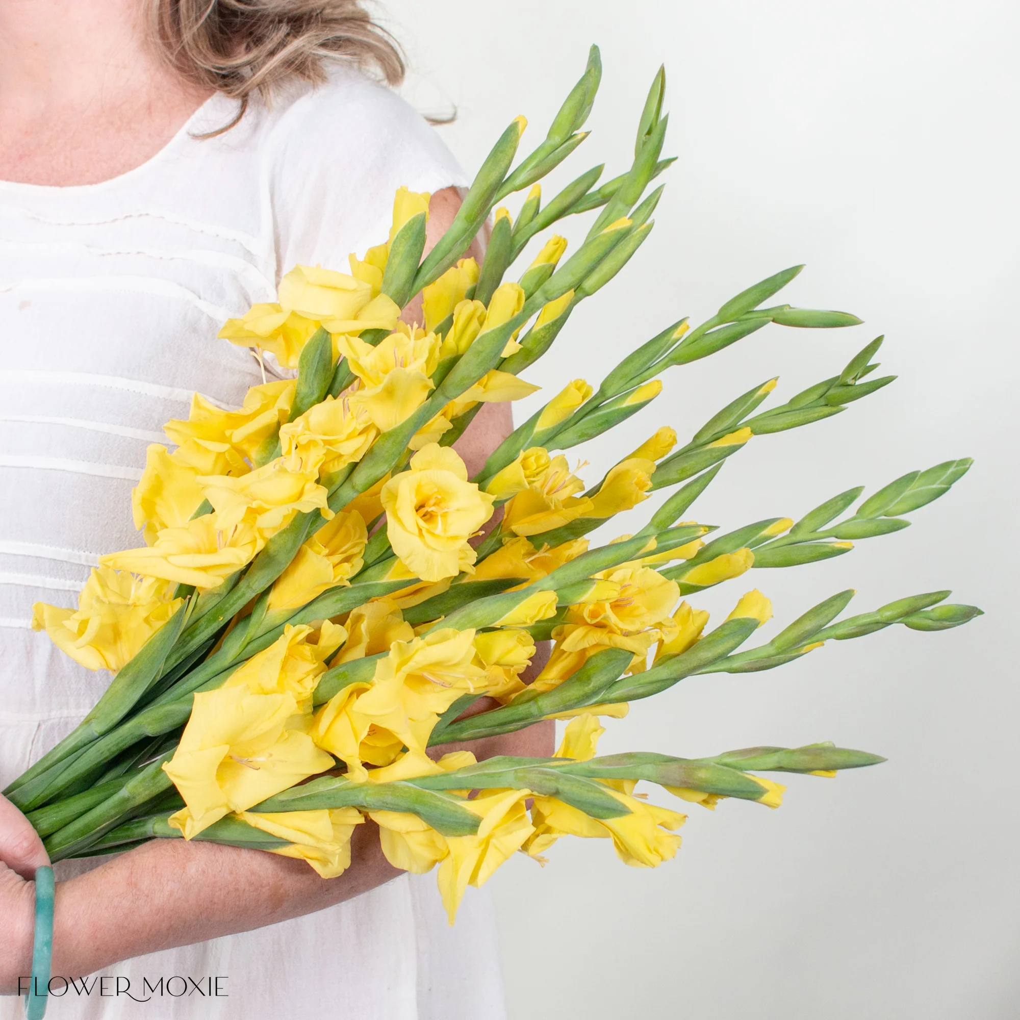 Yellow Mini Gladiolus Flower - Image 3