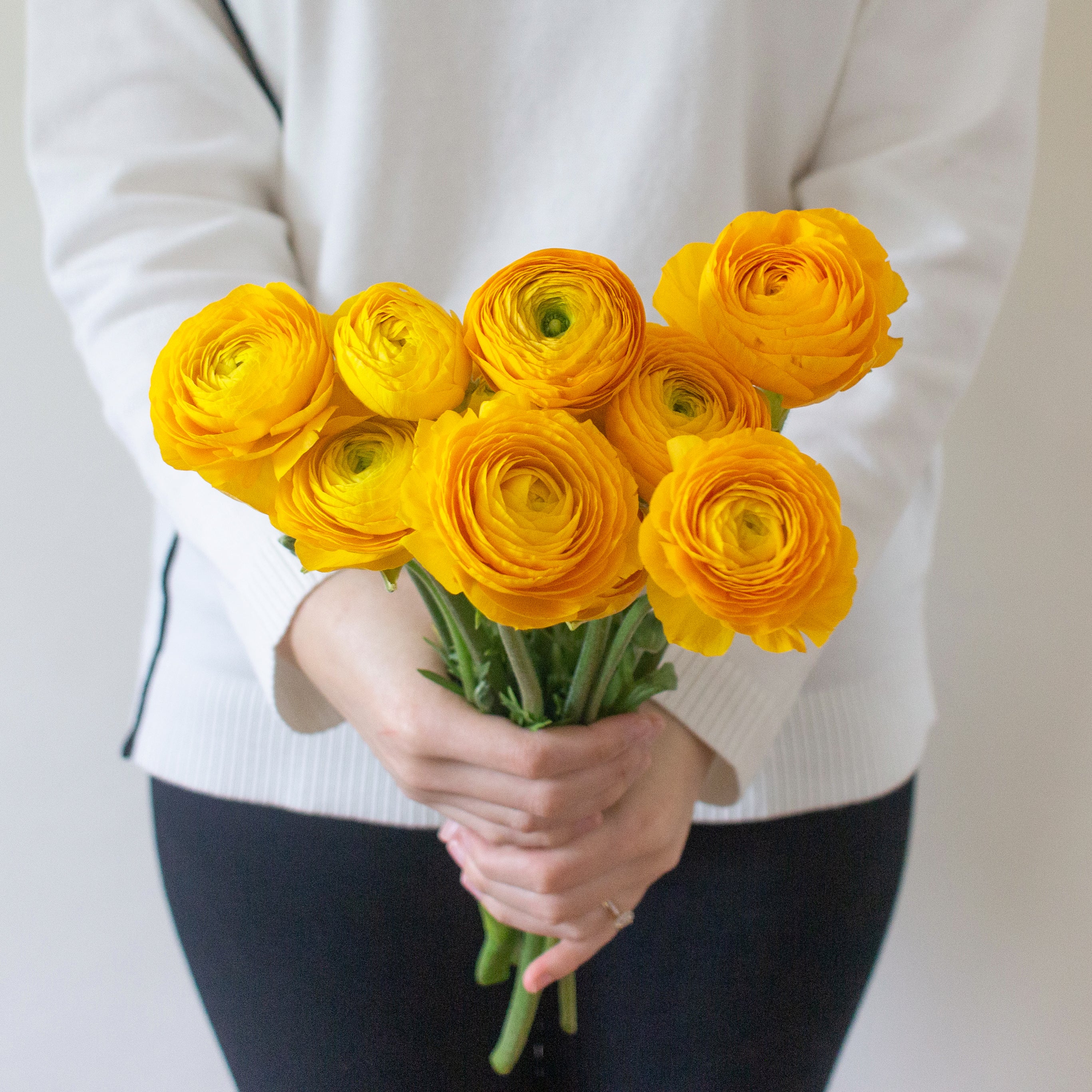 Yellow Ranunculus Flower - Image 11
