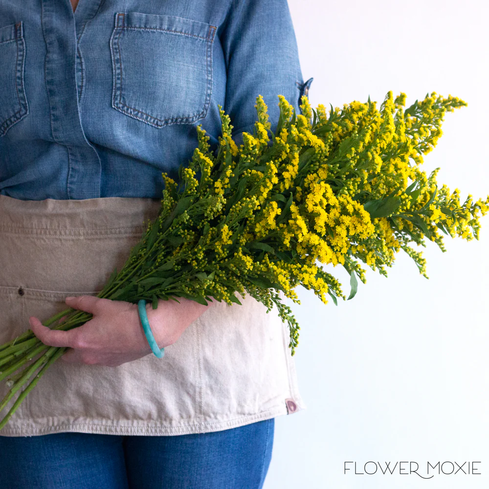 Yellow Solidago Flower - Image 3