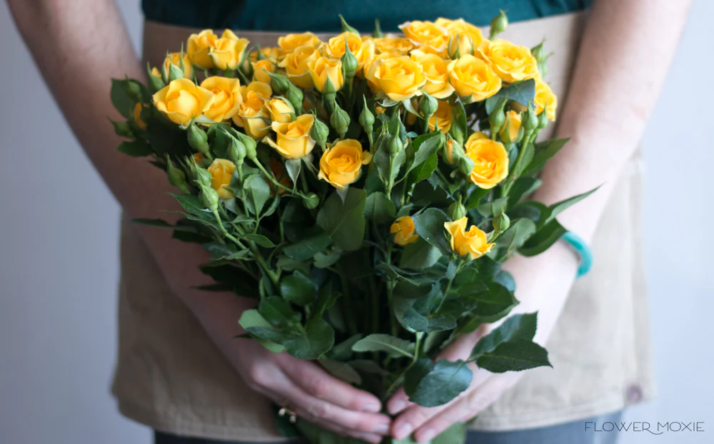 Yellow Spray Roses - Image 8