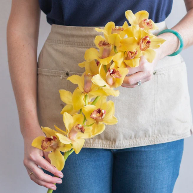 Yellow Standard Cymbidium Orchid Flower - Image 3
